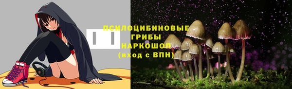 прущие грибы Балахна