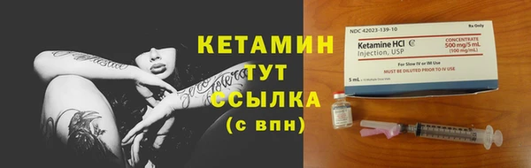 прущие грибы Балахна
