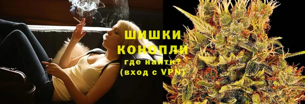 прущие грибы Балахна