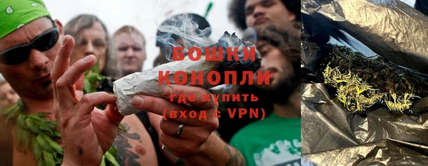 прущие грибы Балахна