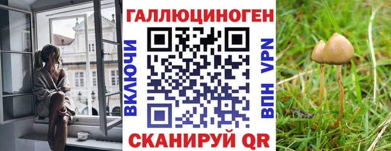 Псилоцибиновые грибы Psilocybe Воронеж